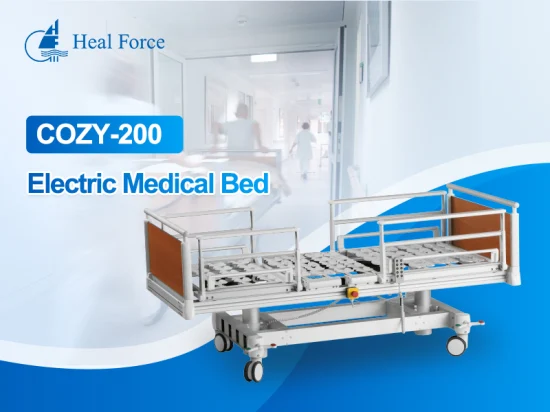 High Quality Adjustable ABS Double Shake Nursing Manual Hospital Bed Steel Iron Pediatric Home Care Hospital Bed with 2 Crank Heal Force